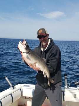 Chinook Salmon Fishing in Manistee, Michigan