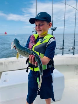 Lake Michigan Trout & Salmon