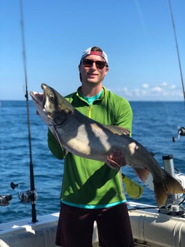 Lake Michigan Trout & Salmon