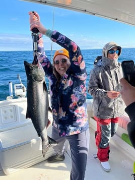 Lake Michigan Trout & Salmon