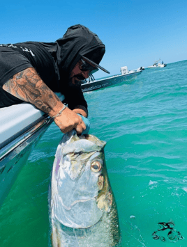 Bokeelia Tarpon Action