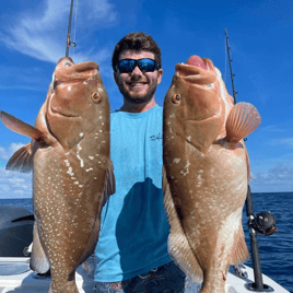 Seriously Huge Snapper and Grouper