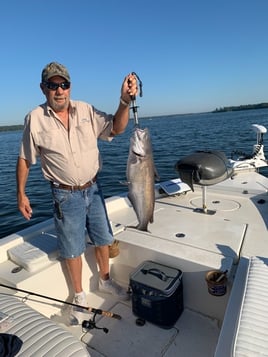 Half Day Lake Conroe