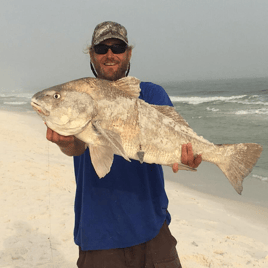 Destin Surf Fishing Trip