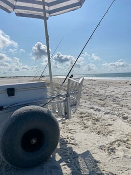 Destin Surf Fishing Trip