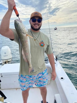 Gulf Grab Bag or Bay Fishing