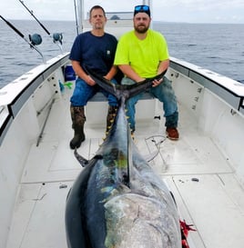 Plymouth Big Tuna Chase