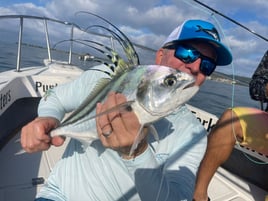 Roosterfish Fishing in Punta Mita, Mexico