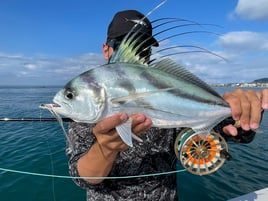 Roosterfish Fishing in Punta Mita, Mexico