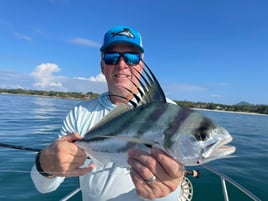 Roosterfish Fishing in Punta Mita, Mexico