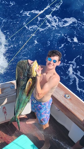 Mahi Mahi Fishing in Dania Beach, Florida