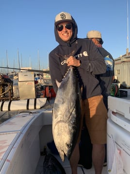 San Diego Champion Bluefin Trip