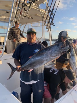 San Diego Champion Bluefin Trip