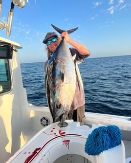 San Diego Champion Bluefin Trip