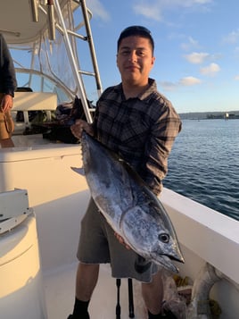 San Diego Champion Bluefin Trip