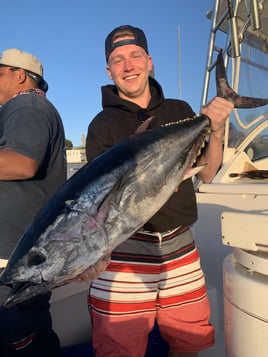 San Diego Champion Bluefin Trip