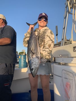 San Diego Champion Bluefin Trip