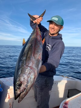 San Diego Champion Bluefin Trip