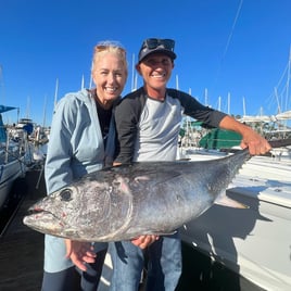 San Diego Champion Bluefin Trip