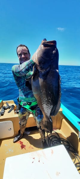 Cabo Spearfishing