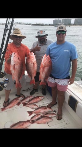 Alabama Red Snapper Classic