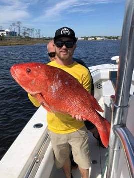 Alabama Red Snapper Classic