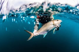 Blue Water Spearfishing Trip