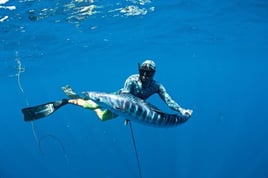 Blue Water Spearfishing Trip