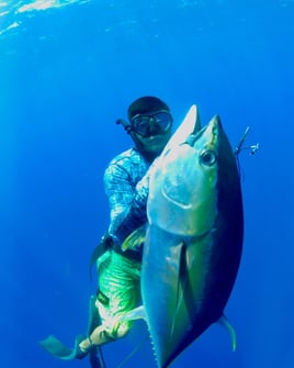 Blue Water Spearfishing Trip