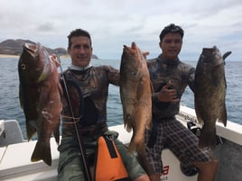 Spearfishing Baja California