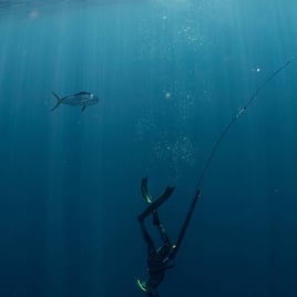 Blue Water Spearfishing Trip