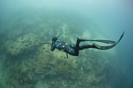 Spearfishing Baja California