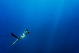 Blue Water Spearfishing Trip