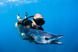 Blue Water Spearfishing Trip