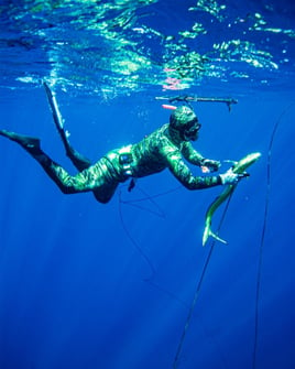 Blue Water Spearfishing Trip