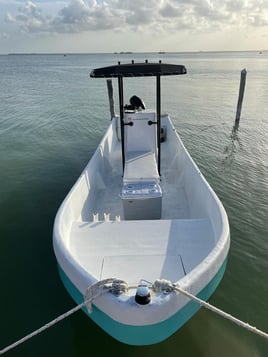 25' Panga - Nearshore or Offshore