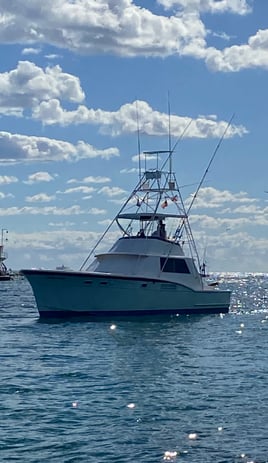 Ultimate Sportfishing Trip - 45' Hatteras