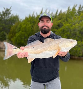 Galveston Bay Bay Fishing