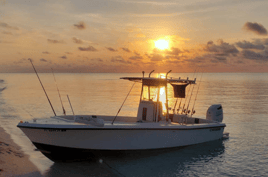 Reef Fishing Trip