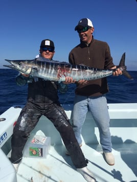 Wahoo, Walleye Fishing in Miami, Florida