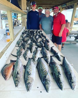 Mobile Bay, Perdido Pass and Beyond