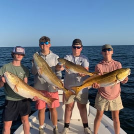 Mobile Bay, Perdido Pass and Beyond