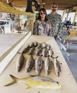 Mobile Bay, Perdido Pass and Beyond