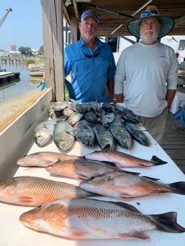 Live and Cut Bait at The Reef