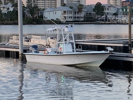 Live and Cut Bait at The Reef