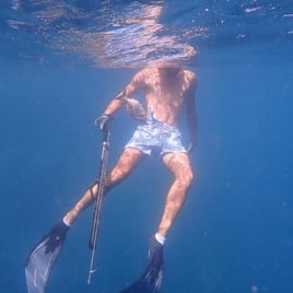 Guided Playa Flamingo Inshore Spearfishing