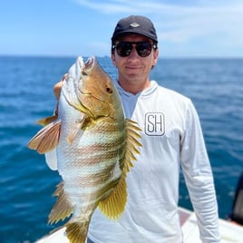 Guided Playa Flamingo Inshore Spearfishing