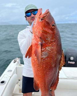 Guided Playa Flamingo Inshore Spearfishing