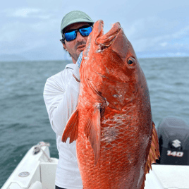 Guided Playa Flamingo Inshore Spearfishing