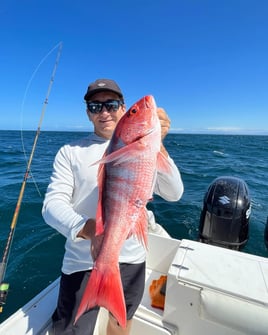 Guided Playa Flamingo Inshore Spearfishing